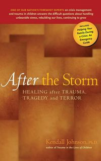 Produktbild: After the Storm