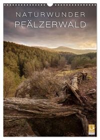 Produktbild: NATURWUNDER PF&Auml;LZERWALD (Wandkalender 2026 DIN A3 hoch), CALVENDO Monatskalender