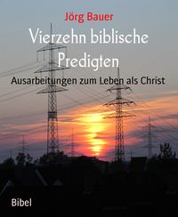 Produktbild: Vierzehn biblische Predigten