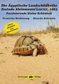 Produktbild: Die &Auml;gyptische Landschildkr&ouml;te Testudo kleinmanni Lortet, 1883