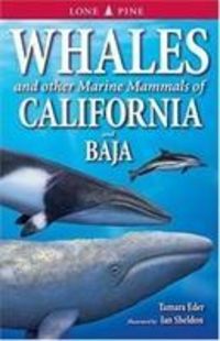 Produktbild: Eder, T: Whales and Other Marine Mammals of California and B