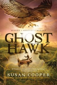 Produktbild: Ghost Hawk