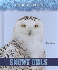 Produktbild: Snowy Owls