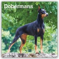 Produktbild: Dobermans &ndash; Dobermann 2027 &ndash; 16-Monatskalender