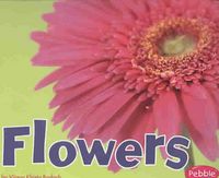 Produktbild: Flowers