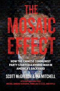 Produktbild: The Mosaic Effect