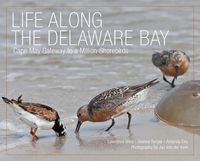 Produktbild: Life Along The Delaware Bay