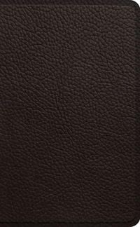 Produktbild: ESV Pocket Bible