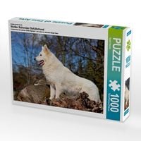 Produktbild: CALVENDO Puzzle Ein Motiv aus dem Kalender Wei&szlig;er Schweizer Sch&auml;ferhund | 1000 Teile Lege-Gr&ouml;&szlig;e 64x48cm Foto-Puzzle f&uuml;r gl&uuml;ckliche Stunden