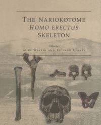 Produktbild: The Nariokotome Homo Erectus Skeleton