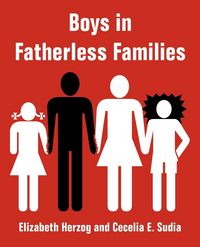 Produktbild: Boys in Fatherless Families