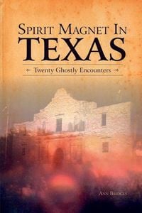 Produktbild: Spirit Magnet in Texas