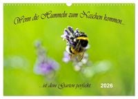 Produktbild: Wenn die Hummeln zum naschen kommen, ist dein Garten perfekt (Wandkalender 2026 DIN A3 quer), CALVENDO Monatskalender