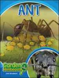Produktbild: ANT