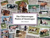 Produktbild: The Chincoteague Ponies of Assateague