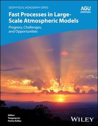 Produktbild: Fast Processes in Large-Scale Atmospheric Models