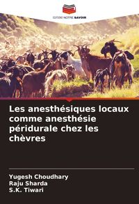 Produktbild: Les anesth&eacute;siques locaux comme anesth&eacute;sie p&eacute;ridurale chez les ch&egrave;vres