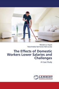 Produktbild: The Effects of Domestic Workers Lower Salaries and Challenges