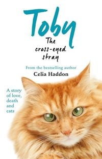 Produktbild: Toby The Cross-Eyed Stray