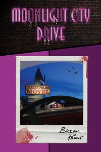 Produktbild: Moonlight City Drive