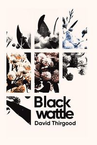 Produktbild: Blackwattle