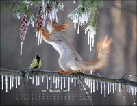 Trunov Märchenhaftes Waldleben Posterkalender. Naturkalender 2023 gestaltet vom russischen Naturfotografen Vadim Trunov. Fotokalender 2023 im Querfor