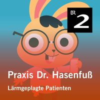 Produktbild: Praxis Dr. Hasenfu&szlig;: L&auml;rmgeplagte Patienten