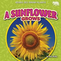 Produktbild: A Sunflower Grows