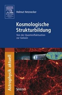 Produktbild: Kosmologische Strukturbildung