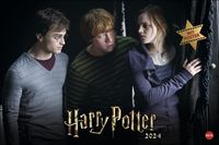 Bild vom Artikel Harry Potter Broschur XL Kalender 2024 vom Autor 