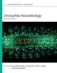 Produktbild: Drosophila Neurobiology