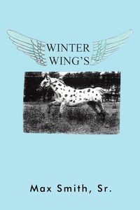 Produktbild: Winter Wings