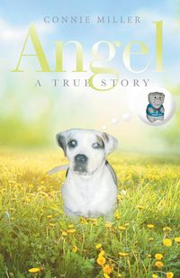 Produktbild: Angel
