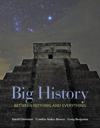 Bild vom Artikel Big History: Between Nothing and Everything vom Autor David Christian