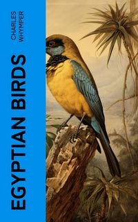 Produktbild: Egyptian Birds