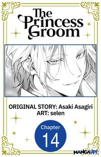 Produktbild: The Princess Groom #014
