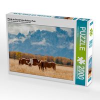 Produktbild: Pferde im Grand Teton National Park (Puzzle)