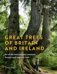 Produktbild: Great Trees of Britain and Ireland