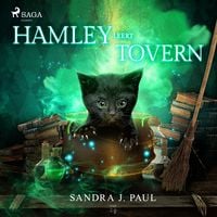 Produktbild: Hamley leert toveren