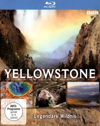 Bild vom Artikel Yellowstone - Legendäre Wildnis vom Autor Yellowstone