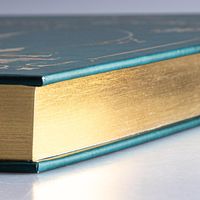 Disney: Das große goldene Buch der Abenteuer-Geschichten