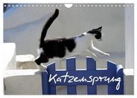 Produktbild: Katzensprung (Wandkalender 2027 DIN A4 quer), CALVENDO Monatskalender