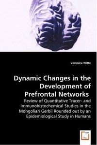Produktbild: Witte, V: Dynamic Changes in the Development of Prefrontal N