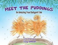 Produktbild: Meet the Puddings