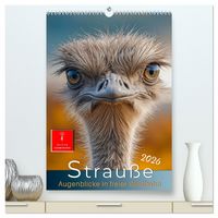 Produktbild: Strau&szlig;e - Augenblicke in freier Wildbahn (hochwertiger Premium Wandkalender 2026 DIN A2 hoch), Kunstdruck in Hochglanz