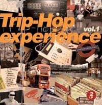 Produktbild: Various: Trip Hop Experience 01