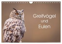 Produktbild: Greifv&ouml;gel und Eulen (Wandkalender 2026 DIN A4 quer), CALVENDO Monatskalender