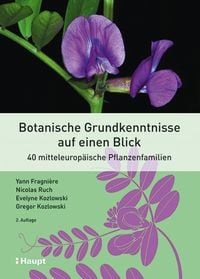 Bild vom Artikel Botanische Grundkenntnisse auf einen Blick vom Autor Yann Fragnière