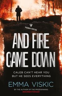 Bild vom Artikel And Fire Came Down vom Autor Emma Viskic