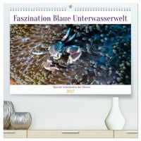 Produktbild: Faszination blaue Unterwasserwelt (hochwertiger Premium Wandkalender 2027 DIN A2 quer), Kunstdruck in Hochglanz